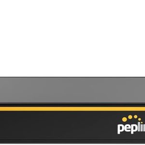 Маршрутизатор Peplink BALANCE 20x