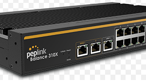 Маршрутизатор Peplink Balance 310X 5G